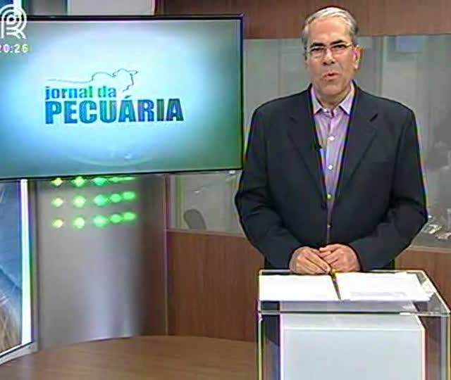 Melhoramento genético é presente na Expozebu