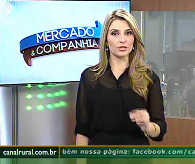 Relatório USDA não deve trazer surpresas ao mercado