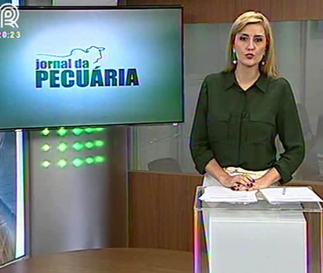 Dietas a base de forrageiras pode aumentar desempenho dos animais no confinamento