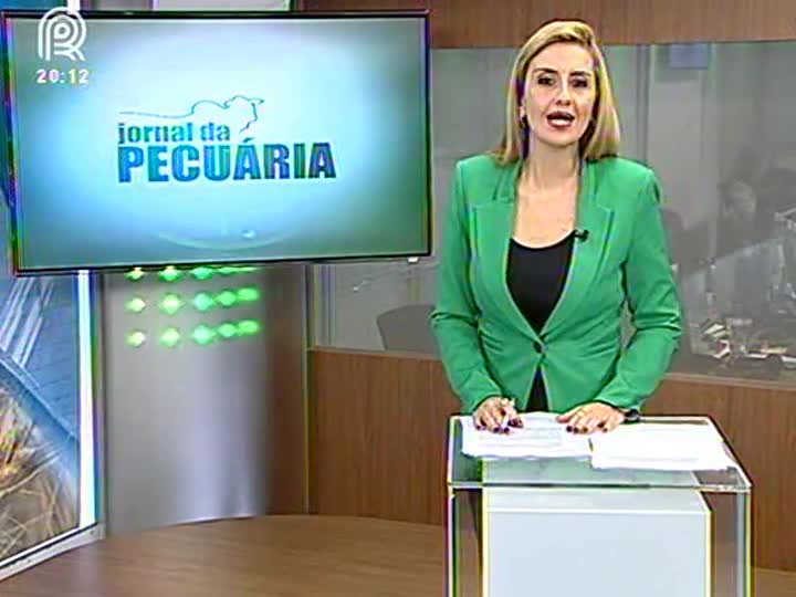 Cepea: volume exportado de carne suína cai na parcial do ano