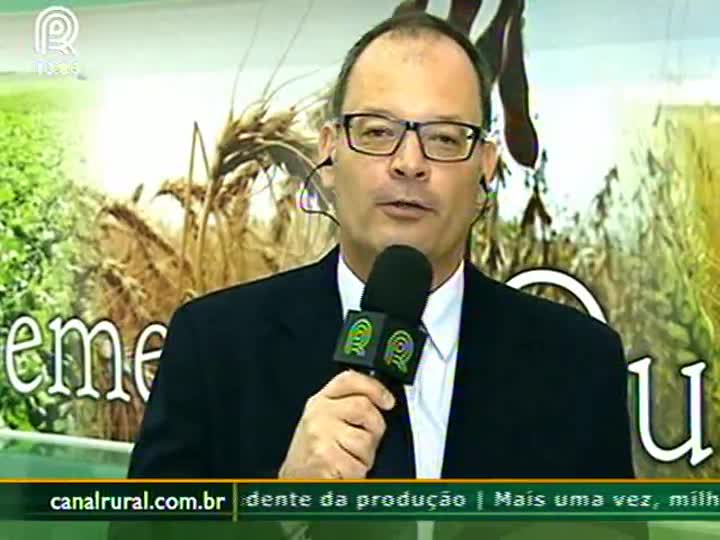 Soja: produtor espera preços melhores no próximo semestre