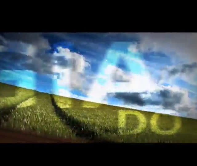 Conheça lançamentos em sementes de algodão