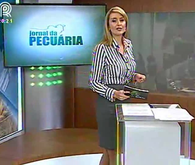 Saiba como pecuária, lavoura e floresta dão certo juntas