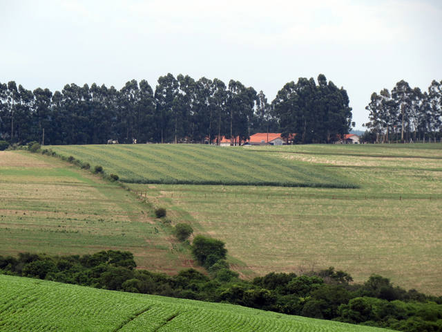 Fonte: Marcelo H. H./ Divulgação Agromac