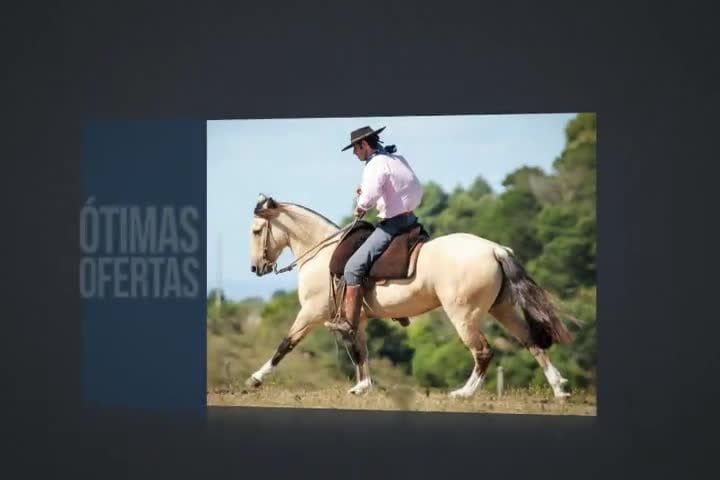 Leilão Cabanhas Coronilha, Campana, Itapororó, Reconquista & Convidados