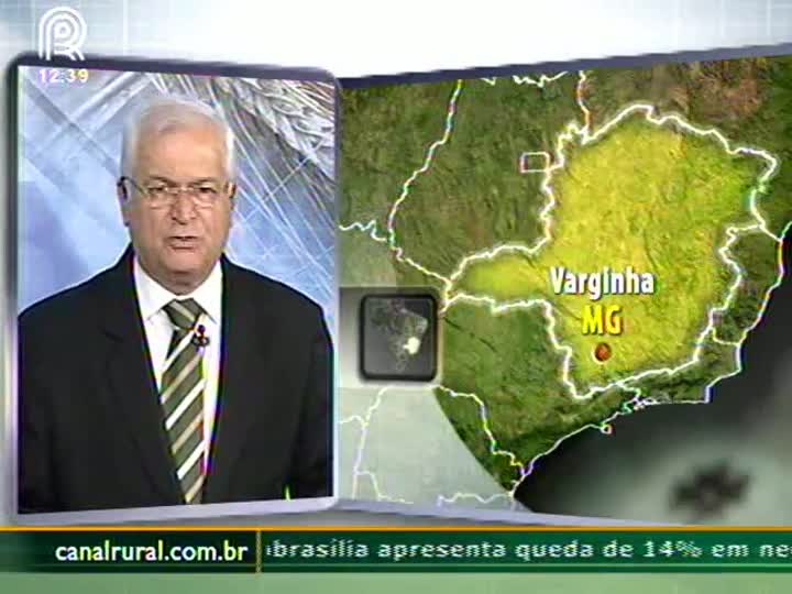 Incerteza quanto ao clima preocupa cafeicultores