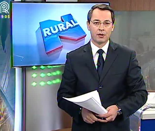 Custo de produção de soja é excessivo em Mato Grosso