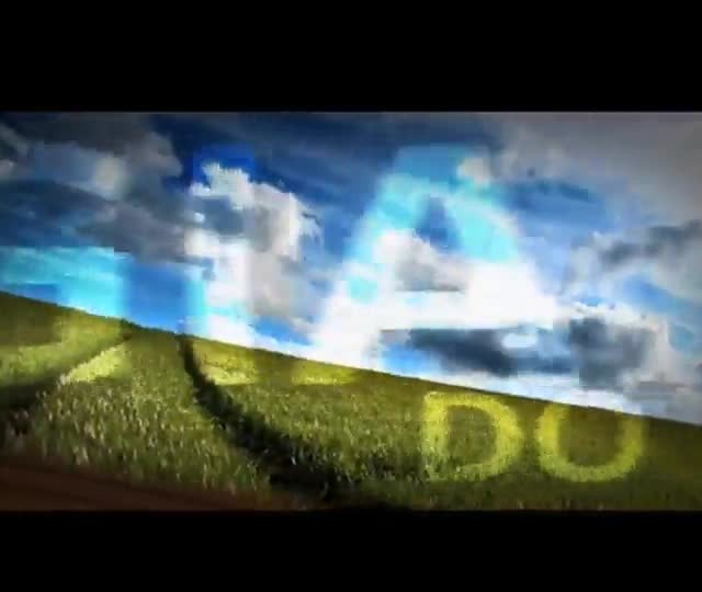 Soja: veja tipos de espaçamentos para o plantio