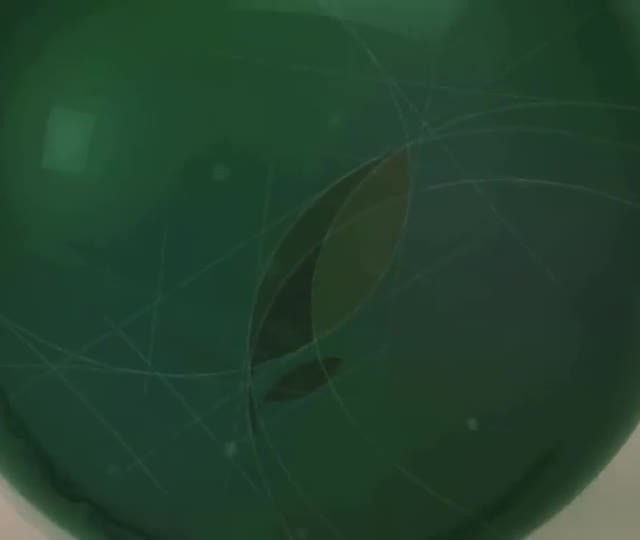 Aula 8 - Resumo aulas 05, 06 e 07
