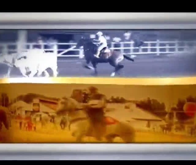 BA: Exposição do Descobrimento reúne animais em pista