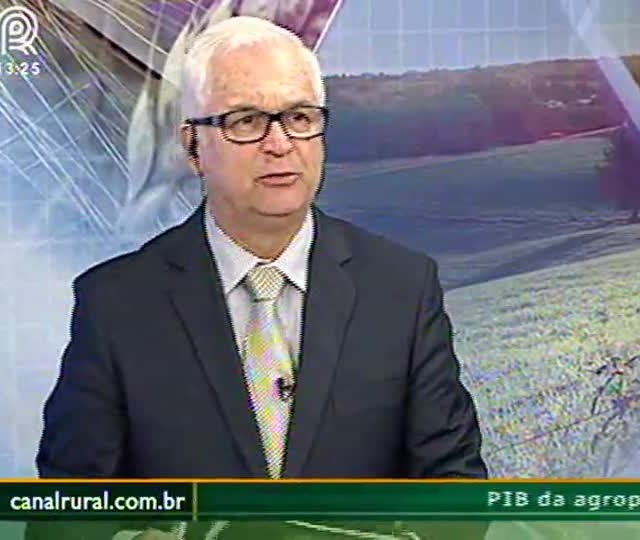 Soja: recuperação de preços não é tendência