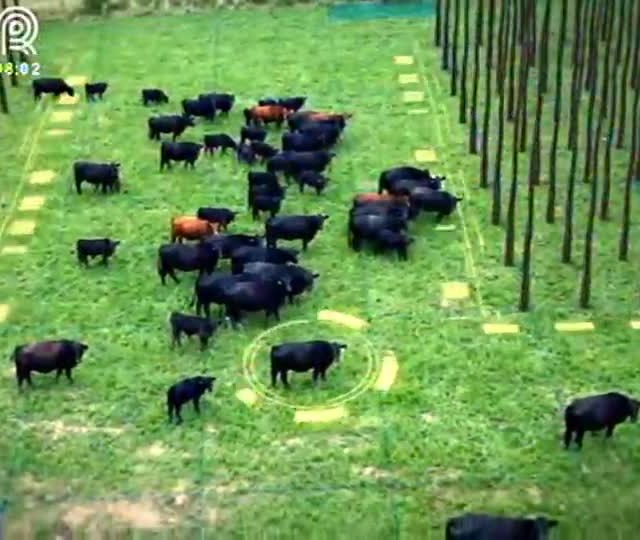 Agronegócio é fundamental para a economia brasileira
