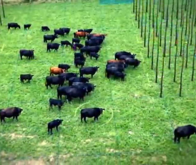 Saiba o potencial agrícola das regiões produtoras do Brasil