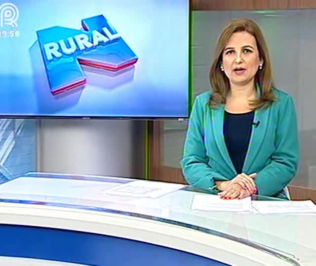 Fonte: Divulgação