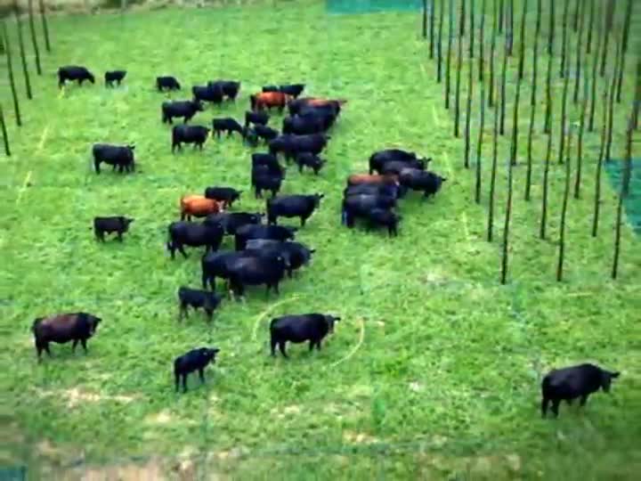 Momento Agro do Brasil visita a feira Bahia Farm Show