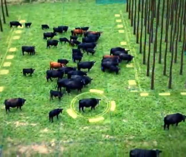 Saiba qual o atual cenário econômico do país