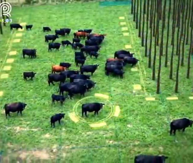 Retrospectiva aborda os 50 anos do crédito rural