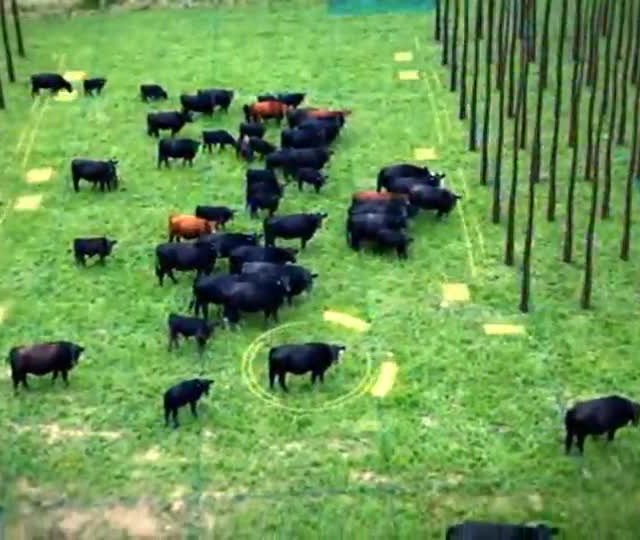 Demanda crescente de crédito rural é reflexo da economia brasileira