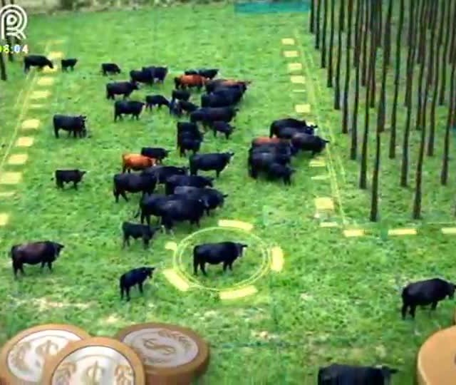 Entenda a importância da água para a agropecuária