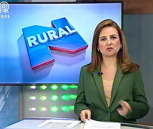 Fernando Rodrigues comenta resposta de Dilma a Lula