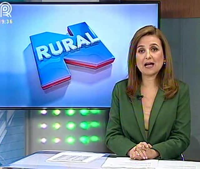 Embrapa lança cultivar que controla a buva e o amargoso