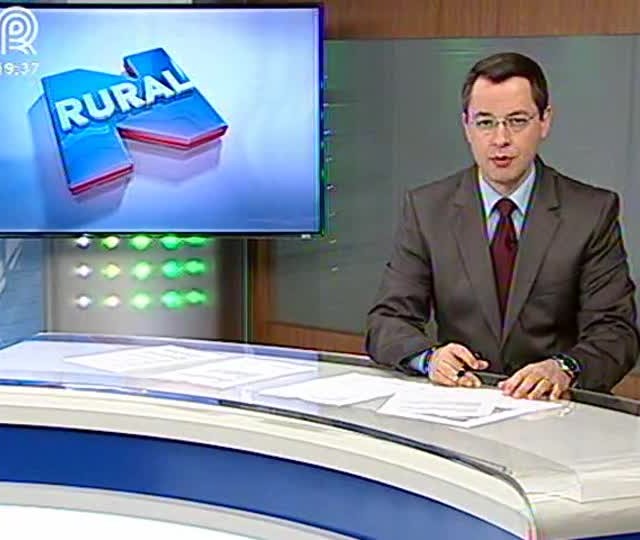 Pesquisadores apontam a falsa medideira como principal praga da safra 15/16