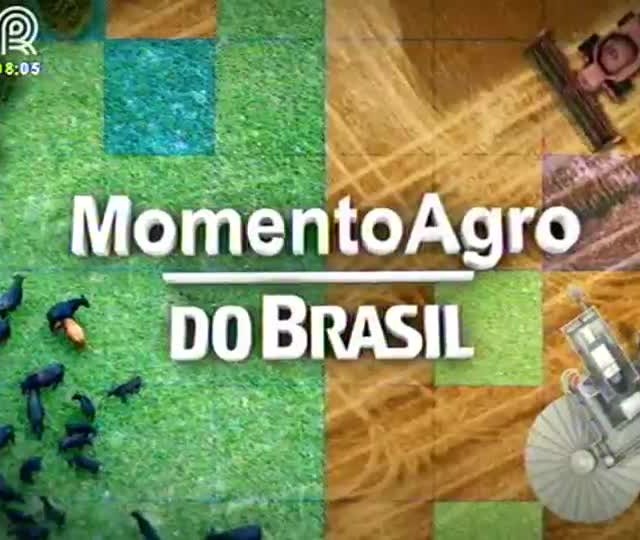 Secretário comenta crédito para agricultura familiar