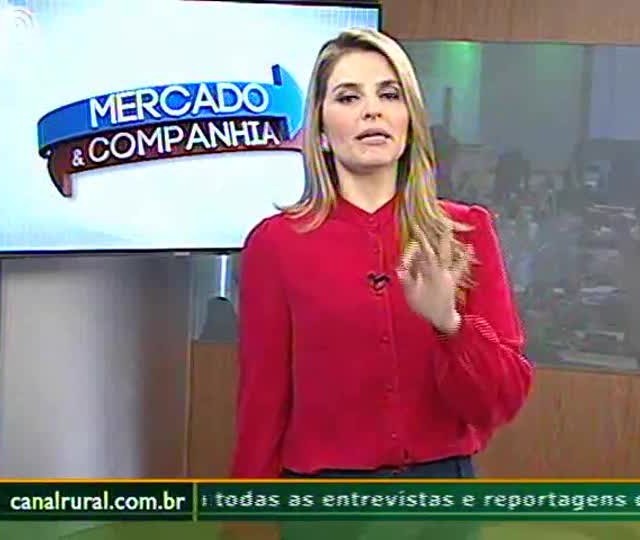 Soja: cotações em alta geram oportunidade de venda para produtor
