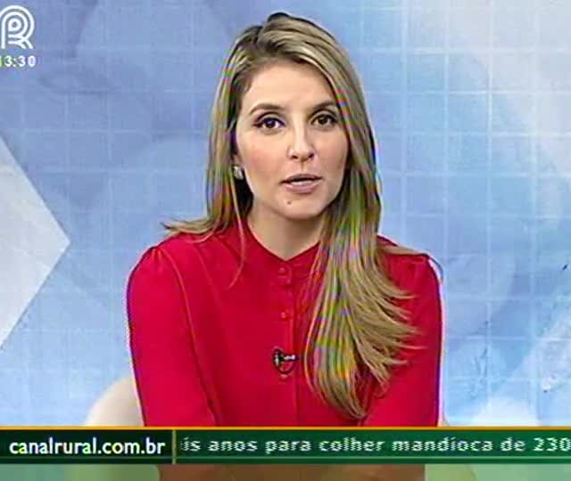 Miguel Daoud fala sobre o Programa Mais Alimentos