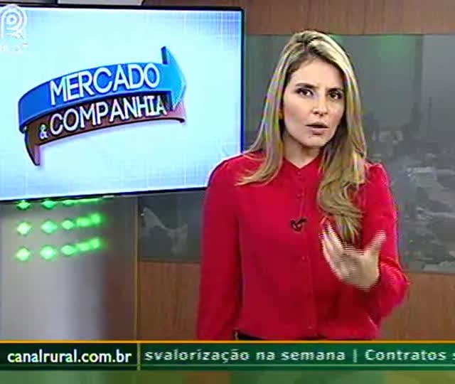 Alta da soja deve ser aproveitada para venda