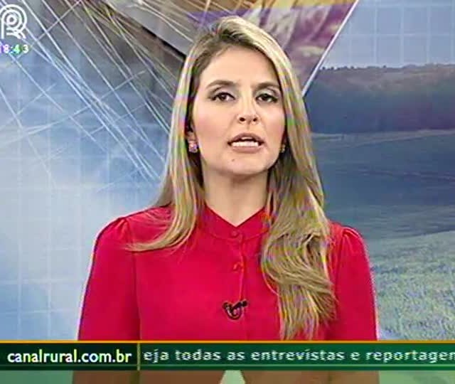 Preços da soja devem subir mais