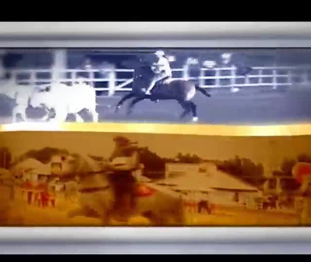 José Márcio Leite cria Marchadores há 54 anos