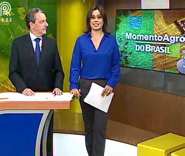 Segunda safra de milho bate recorde
