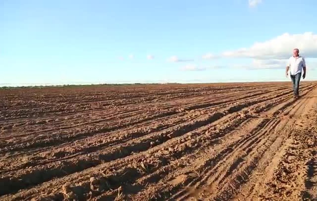 Investimento em irrigação melhora produtividade na Bahia