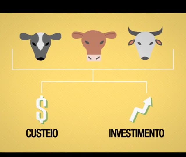 Multiplicando as cabeças de gado