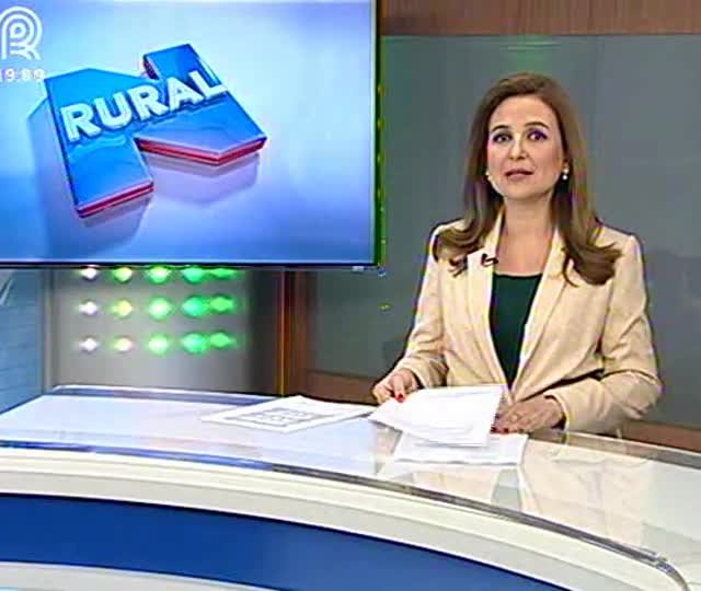 Relatório do USDA impulsiona preços de soja e milho