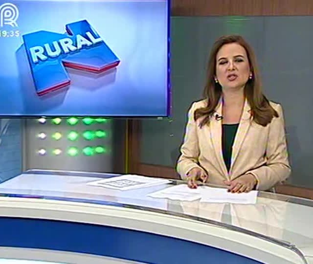 Fonte: José Roberto Brucceli/Arquivo Pessoal