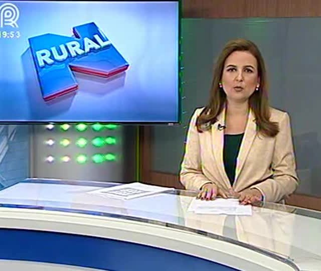 Fonte: Suelen Farias/Canal Rural
