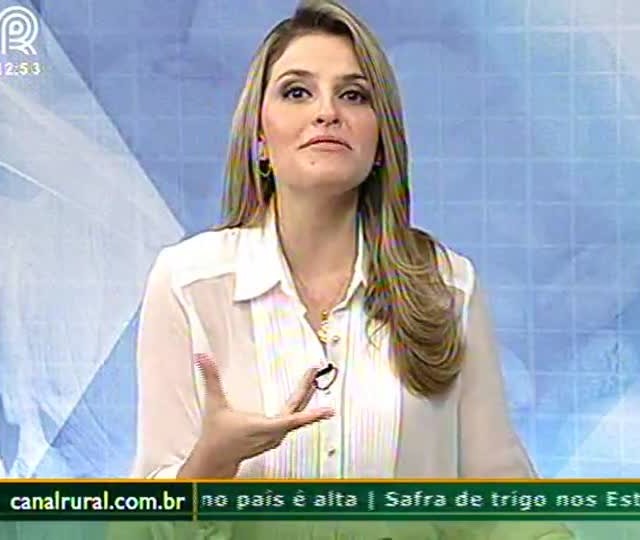 Fonte: Canal Rural