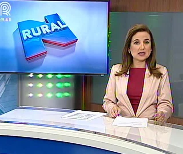 Começa o vazio sanitário em Minas Gerais