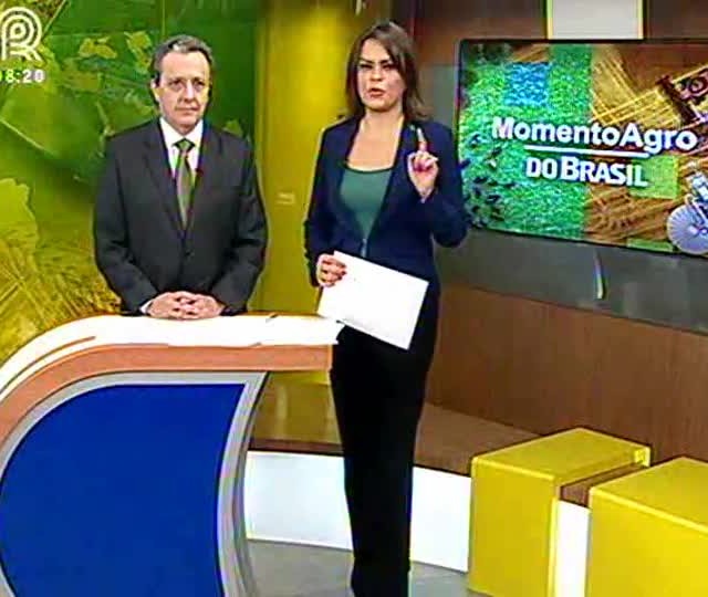 Insumos: compras começam no segundo semestre