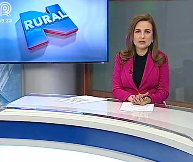 Fonte: Tamires Kopp/ MDA