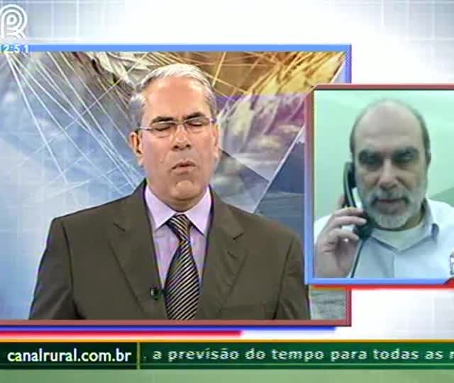 Redução de matrizes determina preços para os próximos meses