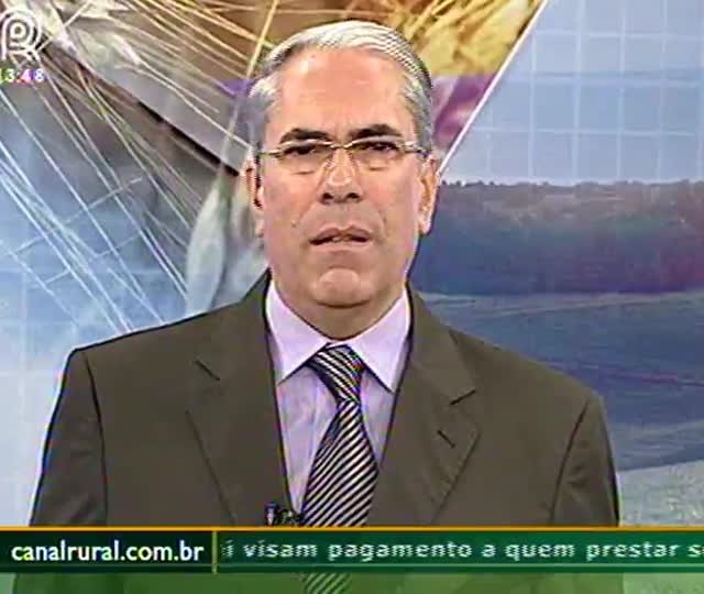 Arroz: preço deve se recuperar no segundo semestre