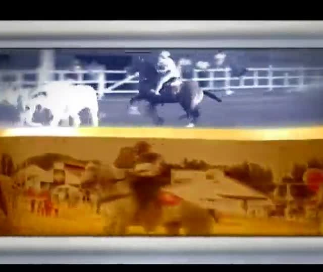 Exposição reúne 140 animais em MG