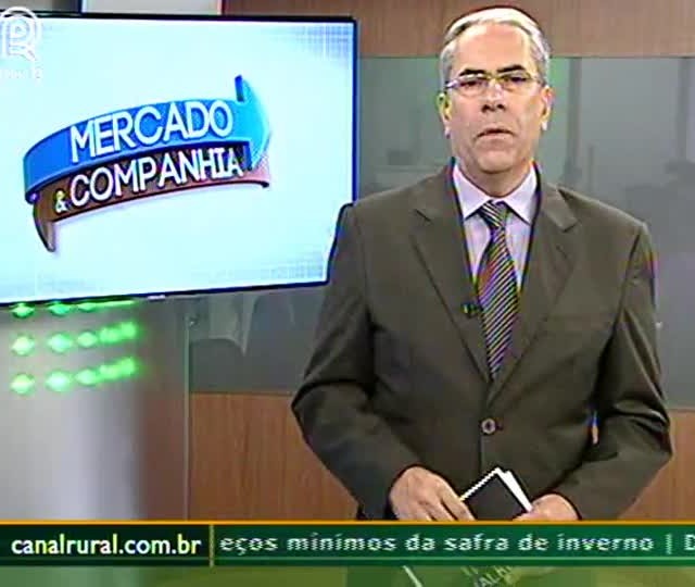 Milho segunda safra é prejudicado por vendaval em Naviraí (MS)
