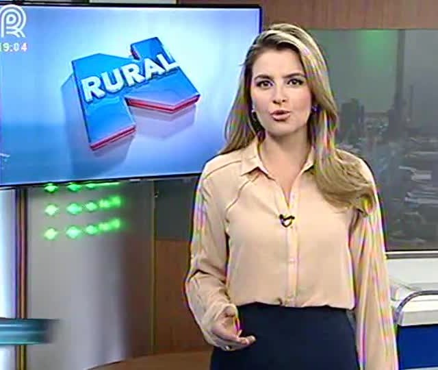 Fonte: Camila Domingues