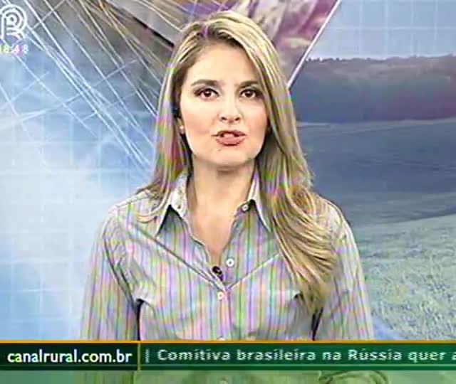 Soja vai a R$ 73 em Paranaguá para fevereiro