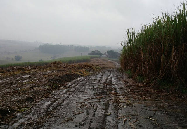 Fonte: Suelen Farias/Canal Rural