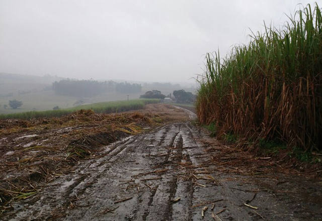 Fonte: Suelen Farias/Canal Rural